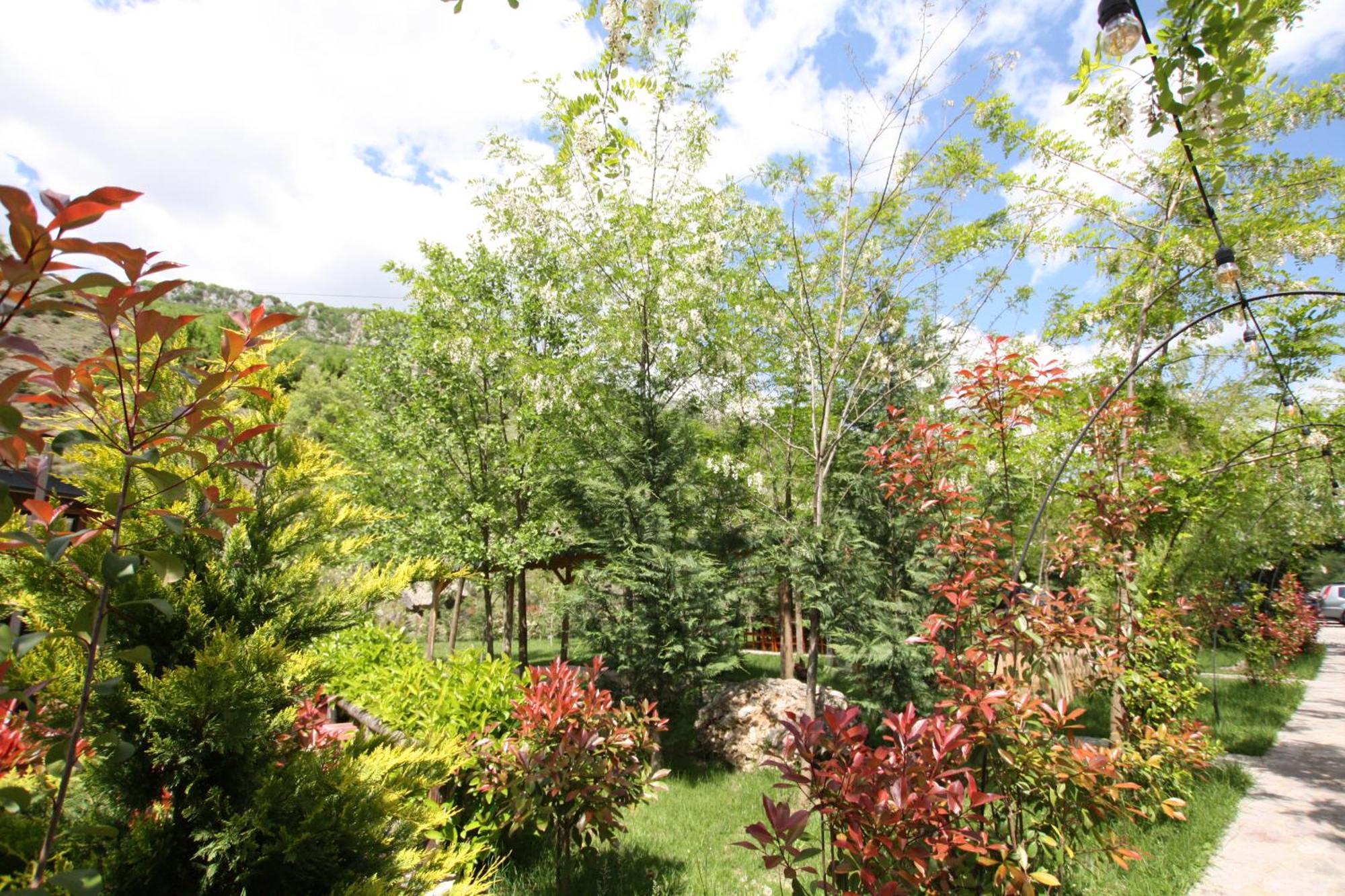 Lugina E Shengjergjit ,Bujtinat Villa Tirana Exterior foto